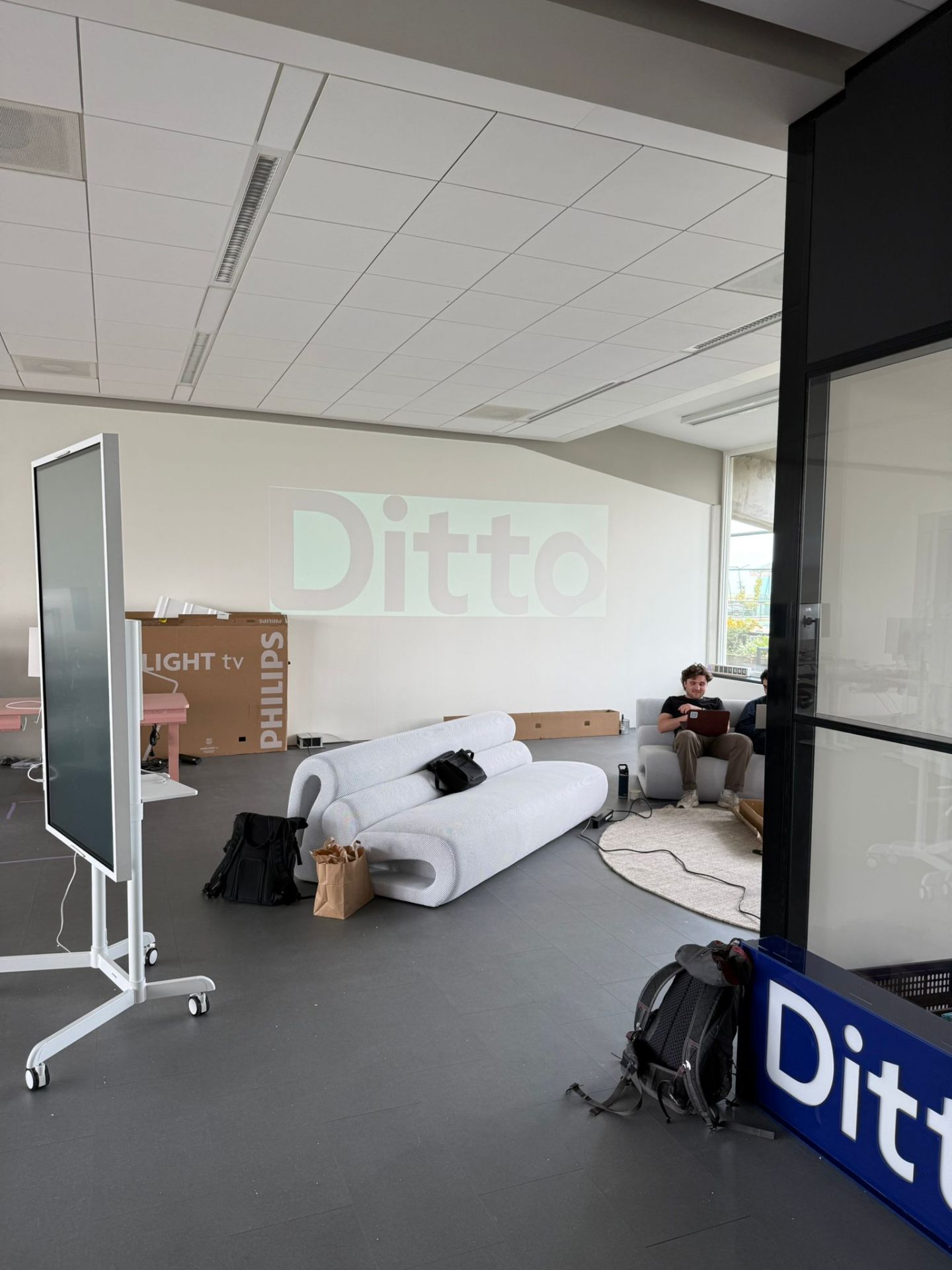 Ditto wordmark projected on a wall